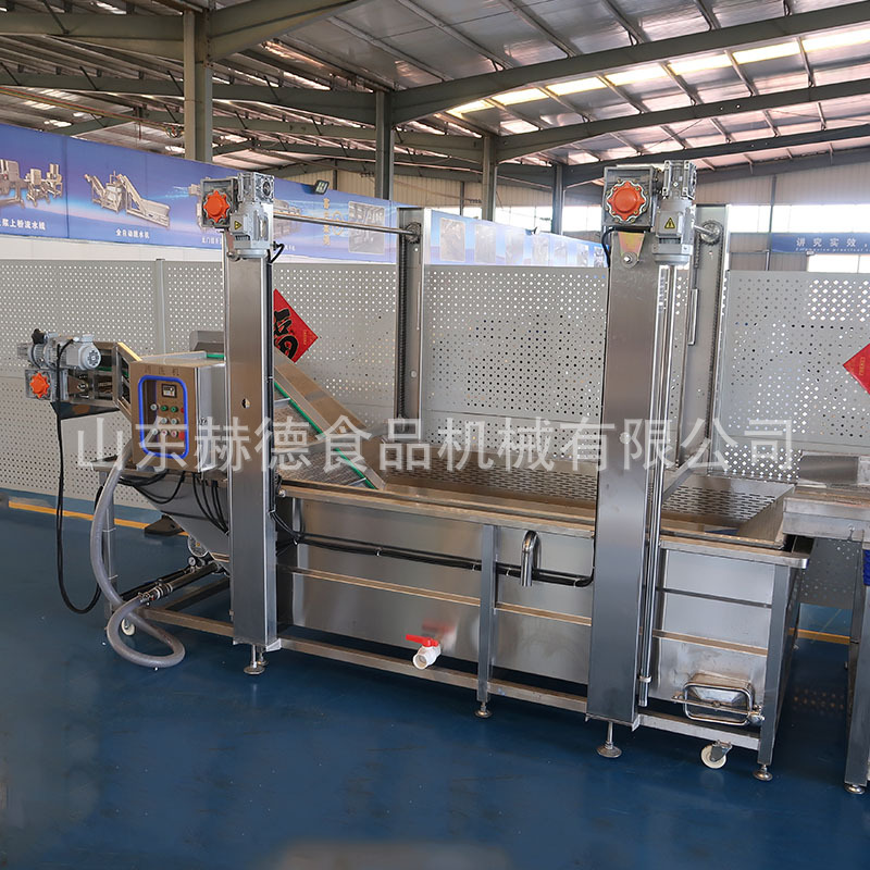 定制豇豆喷淋式洗菜机 提升气泡清洗机 豆橛子提升式气泡清洗机