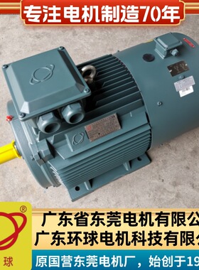 广东东莞环球电机三相变频调速电动机Y2VF280M-2-4-90KW立卧式B35