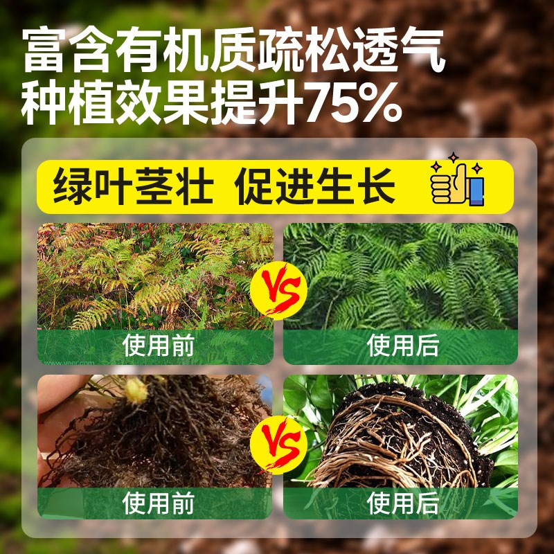 蕨类植物专e用土营养土铁线蕨霸王蕨鹿角蕨狼尾蕨家用室内盆栽花
