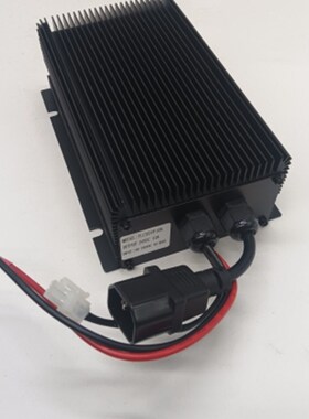 杭州电动搬运叉车24lV10A小金刚充电器ANB155-740300-000配件