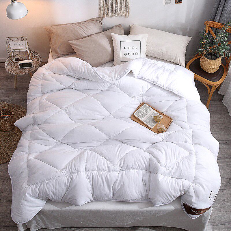 秋冬保暖被芯春夏子母被双人床200X230F宿舍单人白色加厚被150x20