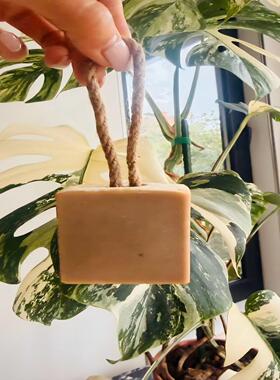 Pearly Luster 野玫瑰润肤皂绵密泡沫不刺激改善干燥起皮深层清洁