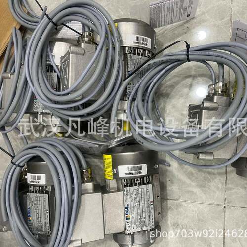 优势供应意大利原装进口RAEL防爆电机RL56B4-IMB14等全系