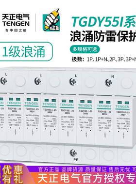 天正浪涌保护器TGDY55I避雷器4P三相防雷器15KA25KA一级电涌380V