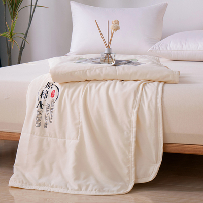 水洗棉夏凉被夏季人子春秋被空豆被四季被芯单被双人大调纤维夏被