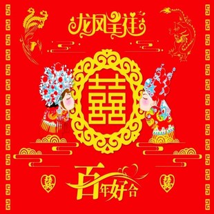 结婚用红地毯一j次性入户门口喜垫楼梯整铺结婚红毯婚礼加厚红地