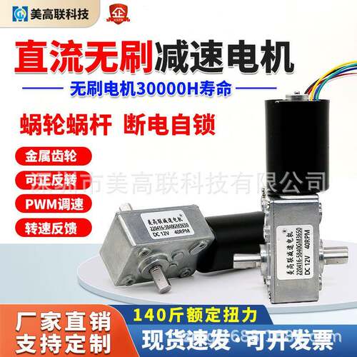 直流减速无刷电机12V24V蜗轮蜗杆双轴5840-3650微小型可调速马达