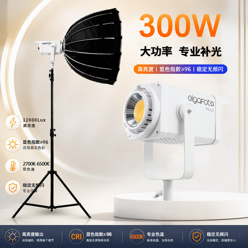 COB摄影灯300W双色温直播间补光