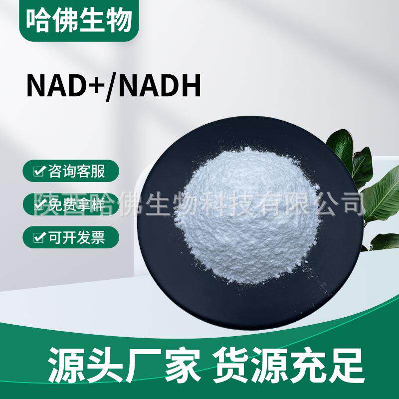 烟酰胺腺嘌呤二核苷酸辅酶ⅠNAD+99%还原型辅酶ⅠNADH99%