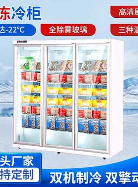 隆雪商用冷冻冷藏展示柜速冻制冷柜超市立式冰柜双门熟食风幕柜