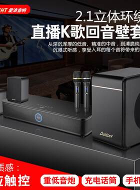 爱浪家庭影院回音壁音响5.1重低音家用客厅k歌音箱套装卡拉ok设备