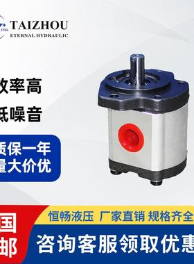 工厂直销CBTCBKCBF压力足CBQ扫地机施肥机液压油泵