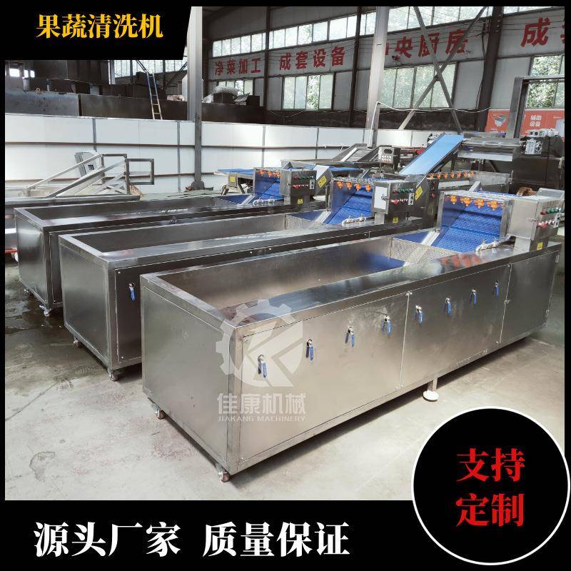 厂家生产大樱桃臭氧清洗机商用水果清洗机樱珠车厘子清洗设备