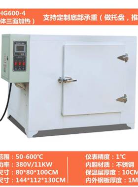 ZZ供烘箱600度型号:SB000-DHG600-4库号：M67357