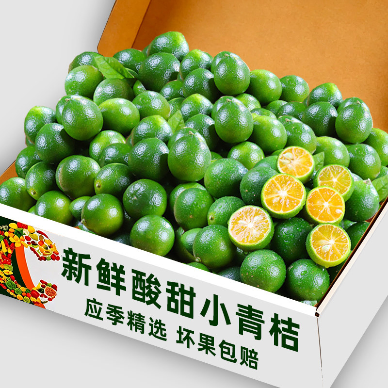 新鲜海南小青桔500g超值装