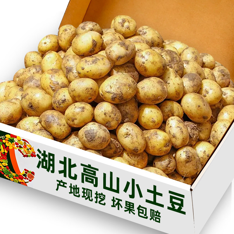 湖北现挖高山小土豆⭐限一单特价
