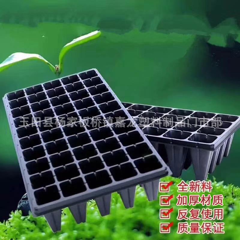 现货育苗穴盘 育苗盆 园艺加厚长方形育苗盆 蔬菜芽多肉花盆