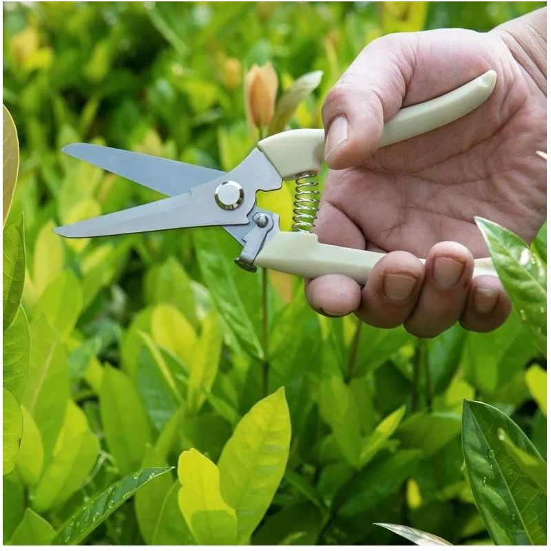 园艺神器新款剪修枝剪园林剪花艺