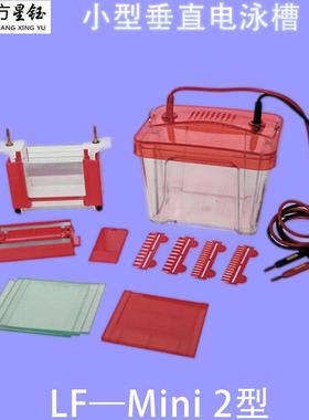 龙方星钰LF-Mini2小型垂直电泳槽蛋白样品电泳分离槽