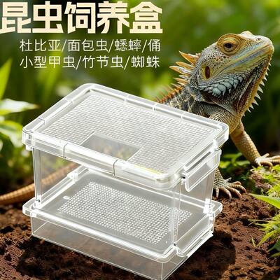 面包黄粉虫大麦虫白蟋蟀油葫芦喂养守宫睫角豹纹蜥蛇宠物饲养盒箱