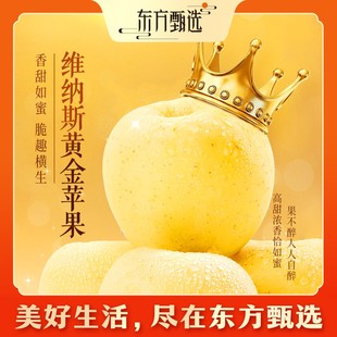 东方甄选自营维纳斯黄金苹果脆甜多汁当季 新鲜水果整箱坏果包赔