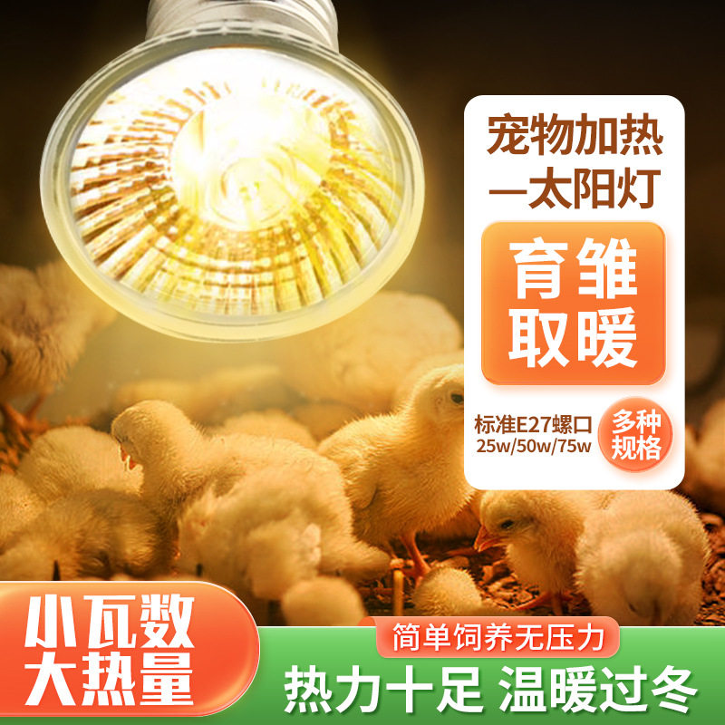 芦丁鸡保温灯育雏取暖太阳灯宠物乌龟晒背保暖灯鹦鹉小鸡加热灯泡,宠物/宠物食品及用品,照明器材,淘宝优惠券,粉丝福利购,淘宝优惠卷