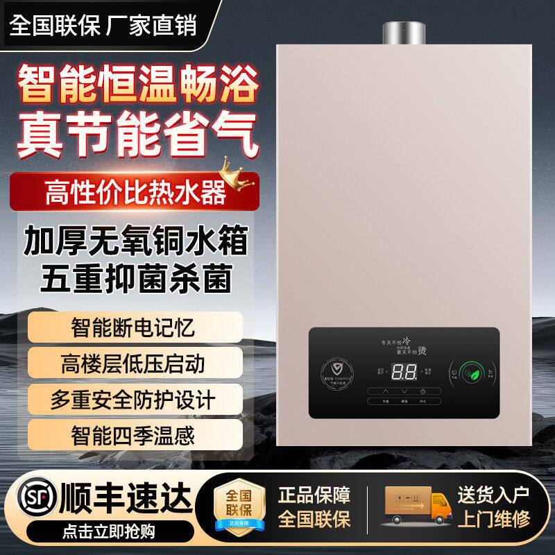德国品牌燃气热水器恒温家用节能天然气液化气12/16L强排式热水器