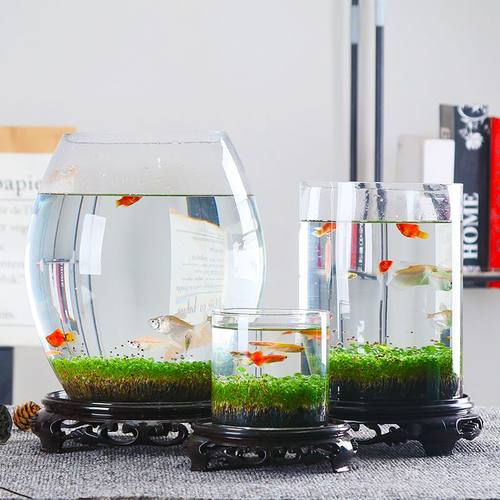桌面生态水草缸玻璃瓶鱼缸种植水草鱼缸水培绿植套装