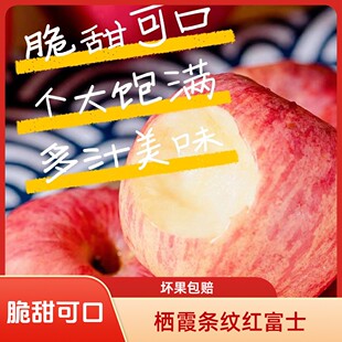 【产地直发】山东烟台栖霞条纹红富士苹果新鲜当季脆甜多汁