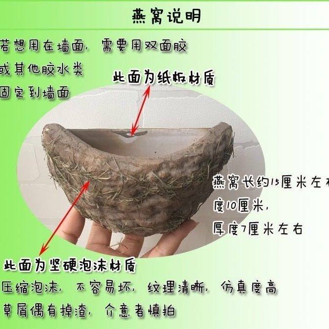 燕子窝墙壁装饰挂件仿真燕子春季装饰品 仿真小鸟燕窝燕巢鸟窝