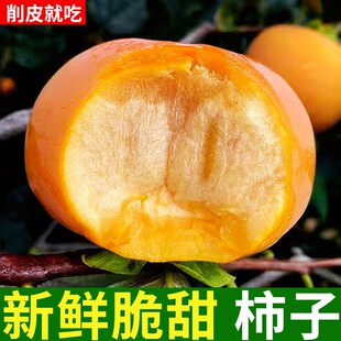 广西桂林高山甜脆柿子真空包装香甜多汁自然熟冰糖心柿子恭城柿子