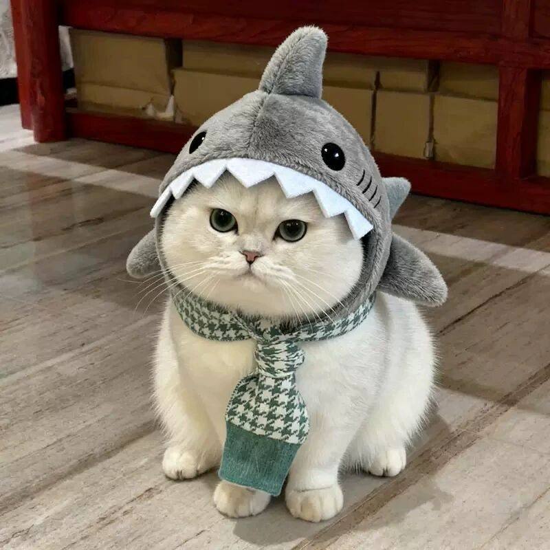 猫咪鲨鱼头套猫猫秋冬搞怪保暖宠物搞笑创意可爱帽子拍照装扮饰品