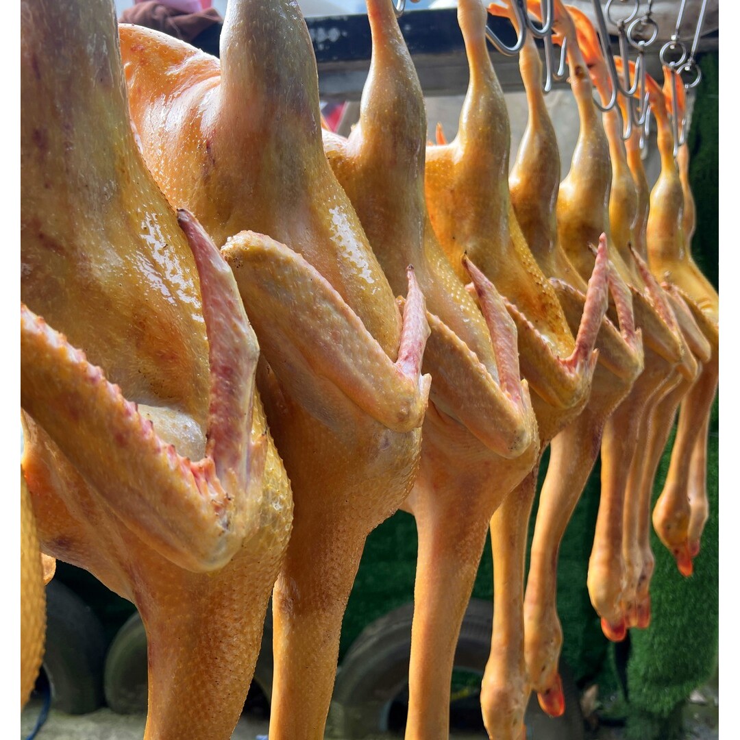 新鲜现杀散300天麻鸭(黄皮红肉-不带内脏)每只肉净重4斤以上