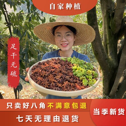 大红八角-广西老树八角有大有小足干无硫熏香料调味料脱水蔬菜