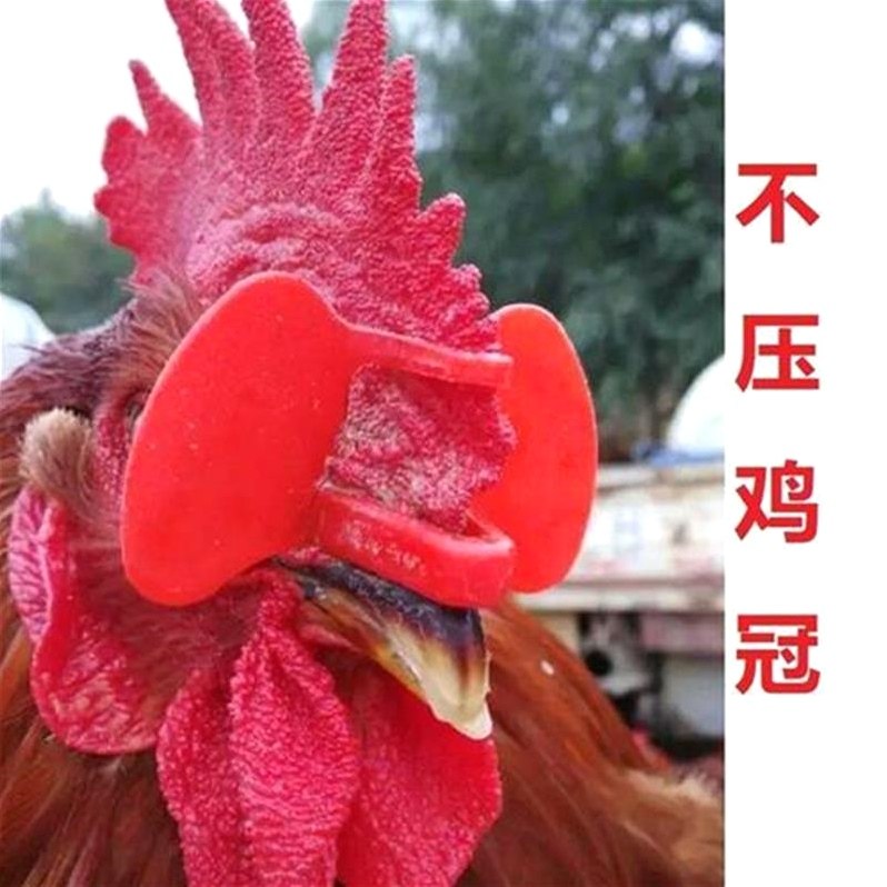 鸡眼镜防啄鸡眼罩大号鸡鼻环鸡眼睛七彩山鸡养殖设备大公鸡防啄毛