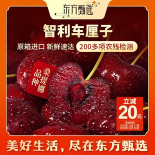 东方甄选自营智利车厘子JJ 4J海运内附果径卡新鲜水果坏果包赔