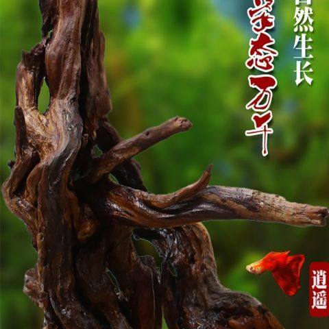 天然沉木树根栖根杜鹃根鱼缸装饰造景木头流木水草缸树枝造景沉木