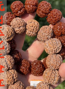 大金刚菩提五星梅花双龙手串散珠安娜籽原生态金刚菩提子佛珠蜂王