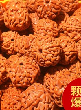 尼泊尔大金刚菩提子手串爆肉纹五瓣六瓣文玩佛珠单颗菩提原籽