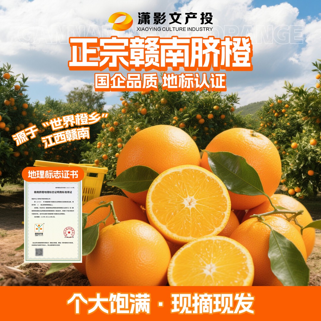 精选果王丨正宗赣南脐橙新鲜现摘橙子头茬纽荷尔当季脐橙赣南脐橙