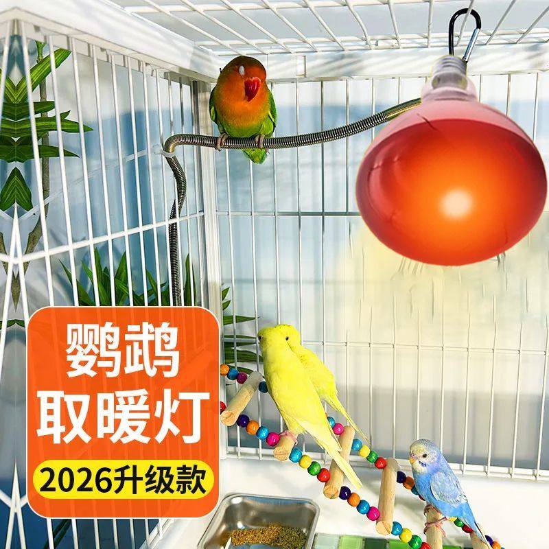 鹦鹉加热加温取暖灯鸟笼保温灯芦丁鸡仓鼠玄风防咬发热宠物取暖灯,畜牧/养殖物资,养殖保温灯,淘宝优惠券,粉丝福利购,淘宝优惠卷