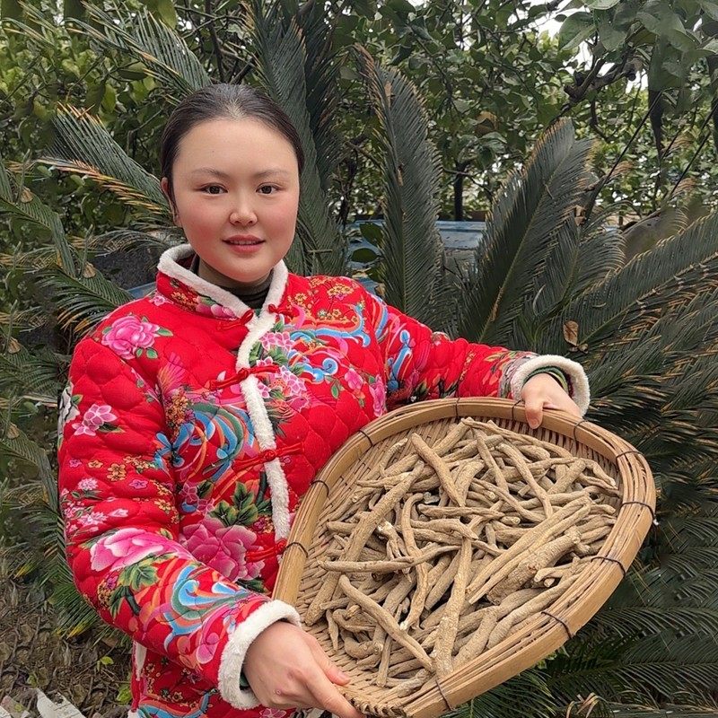 现收阿坝 藏民土货当归 炖汤炖鸡 煮水 煮鸡蛋 炖猪蹄炖排骨很香