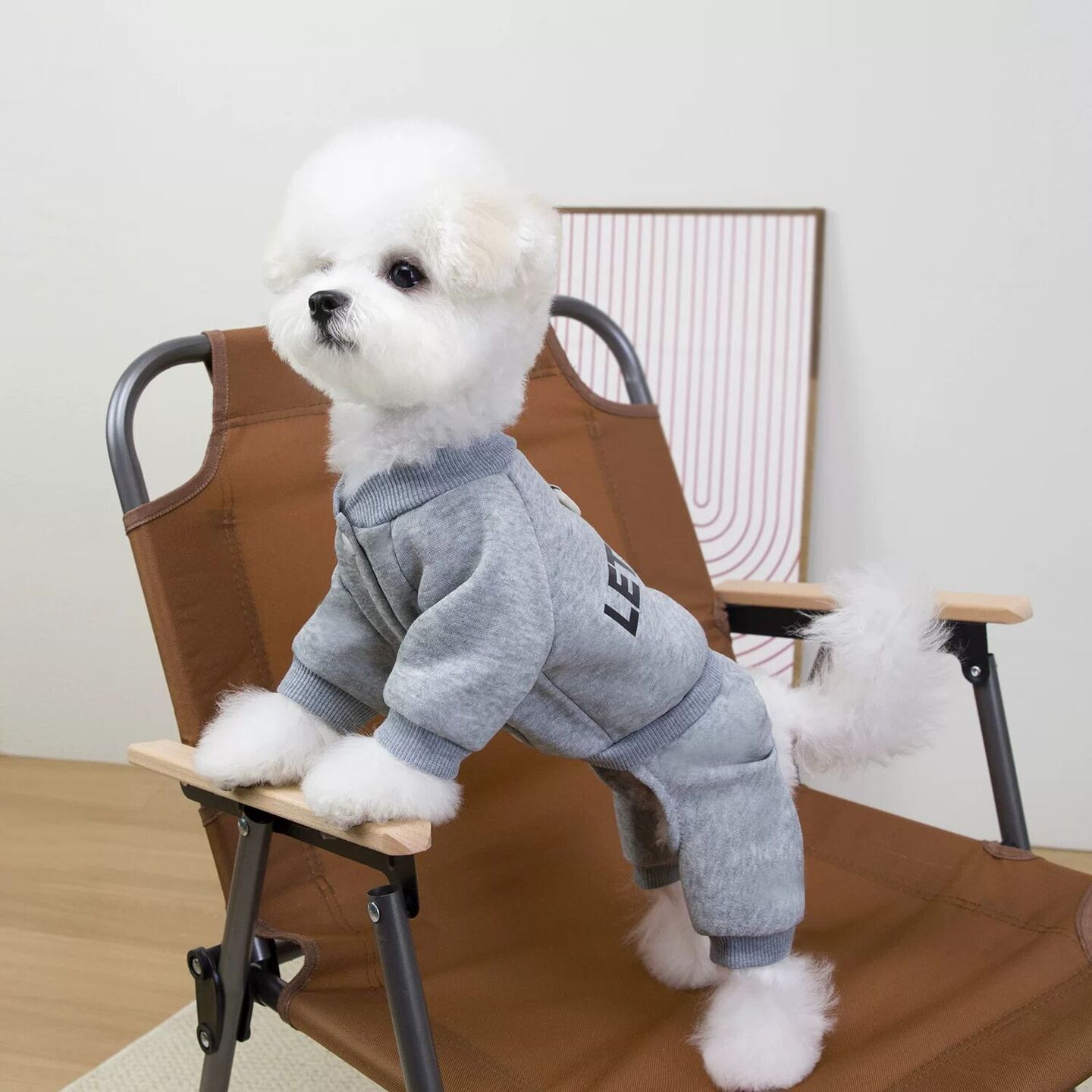 狗狗衣服四脚秋冬季比熊泰迪小型犬加绒动感卫衣可牵引宠物服装冬