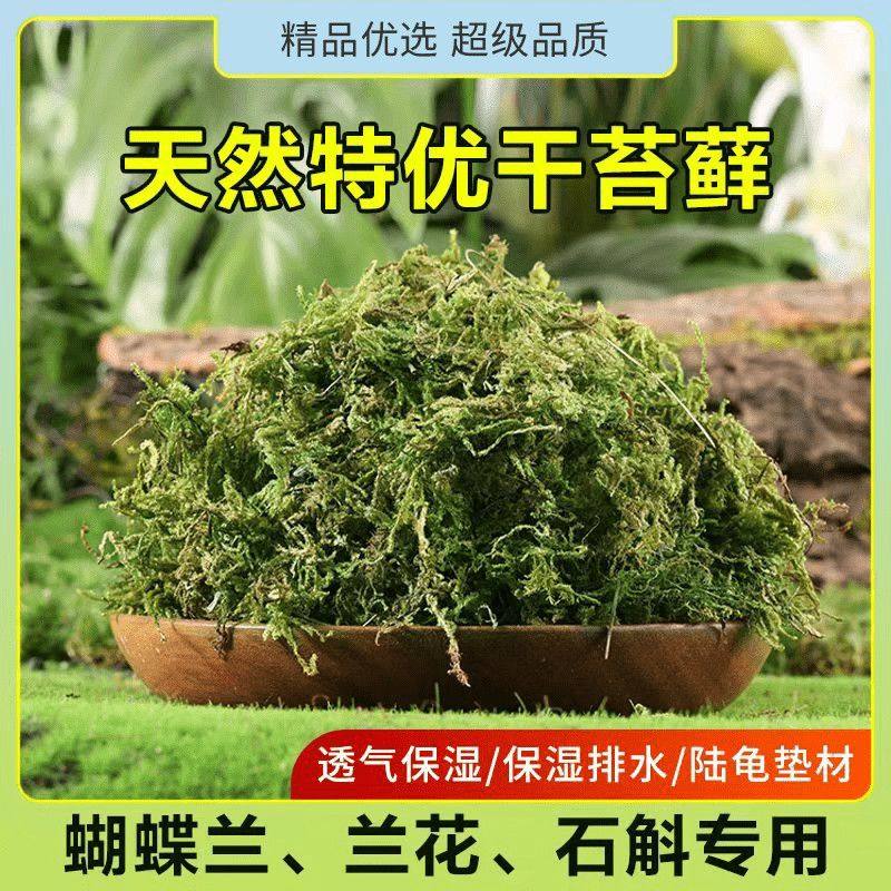 纯干天然苔藓蝴蝶兰花专用土乌龟冬眠运输保湿椰土水苔青苔藓营养