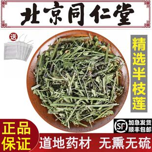 北京同仁堂精选半枝莲中药材野生头茬半枝莲青蒿草青蒿苦蒿无硫熏