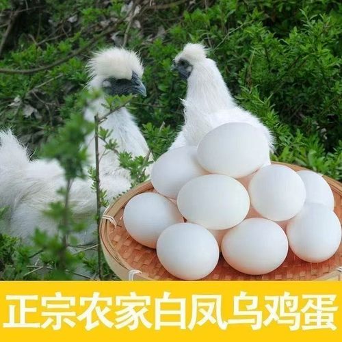 到手50枚乌鸡白凤蛋农家散养土鸡蛋现捡现发破损包赔支持试吃
