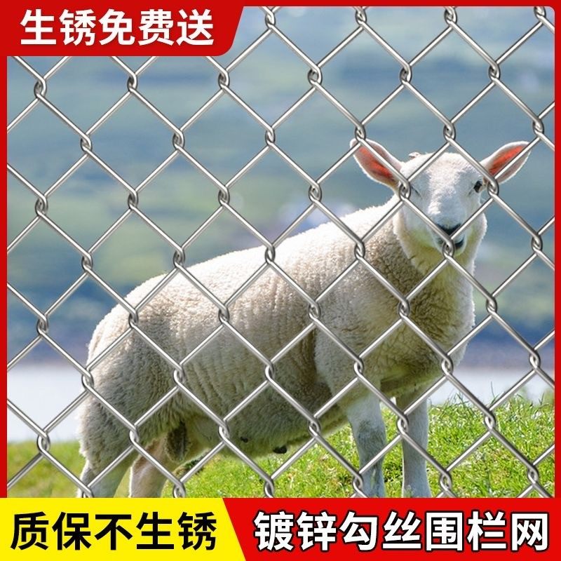 热镀锌钢丝铁网网格狗加粗加厚铁丝网圈地养殖牛羊果园防锈围栏网,鲜花速递/花卉仿真/绿植园艺,栅栏,淘宝优惠券,粉丝福利购,淘宝优惠卷