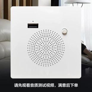 德国进口86型墙壁式 无线音箱面板暗 蓝牙音响U盘播放器智能嵌入式