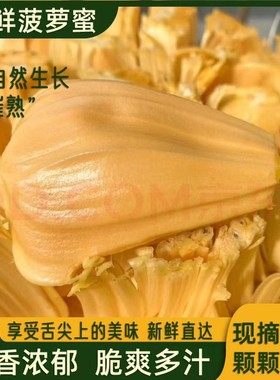 越南进口菠萝蜜树熟发货干苞脆甜一整个黄色果肉顺丰包邮