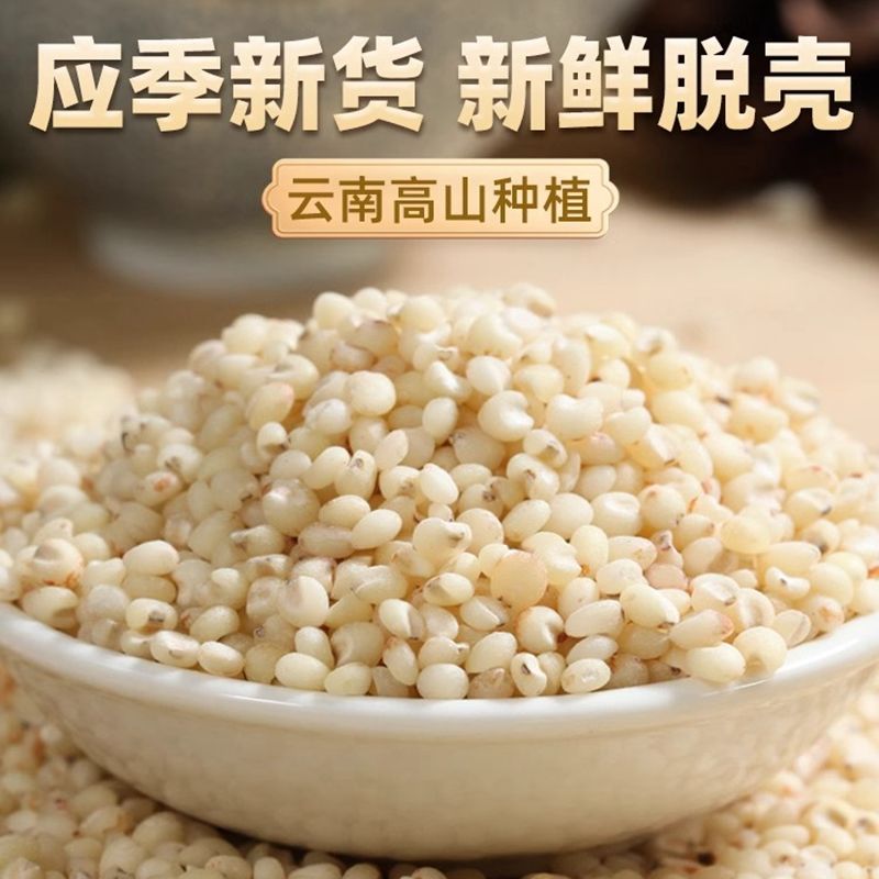 东北高粱米新米食用白高粱米新货2斤去皮五谷杂粮养生粥饭非红